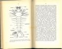 Mosquito surveys. A handbook for anti-malarial and anti-mosquito field workers.. MacGregor, Malcolm E.