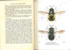 Flies of the british Isles.. Colyer, C.N. & C.O. Hammond