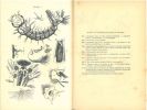 A handbook of the gnats or mosquitoes giving the anatomy and life history of the Culicidae together with descriptions of all species noticed up to the ...
