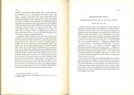 Illustrations of blood-sucking flies.. Austen, E.E.