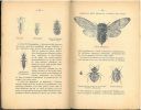 Guide de l'amateur d'insectes.. Granger, Albert