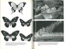 The life of insects.. Wigglesworth, Vincent B.