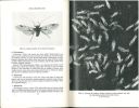 Insects and their world.. Oldroyd, Harold
