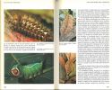 La vie des insectes.. Wigglesworth, Vincent B.