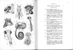 Introduction à l'entomologie, fasc. I : anatomie générale et classification.. Jeannel, René
