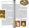 Des insectes et des hommes. Ethnoentomologie.. Sabah, C. et al.