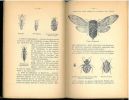 Guide de l'amateur d'insectes.. Granger, Albert