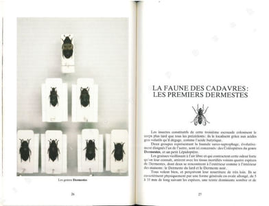 Les insectes dans l'enquête policière.