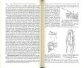 The principles of insect physiology.. Wigglesworth, Vincent B.