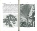 Le peuplement du Palmier Rônier (Borassus aethiopum) d'une savane de Côte d'Ivoire.. Vuattoux, Roger