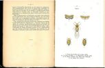 Atlas de poche des insectes de France utiles ou nuisibles, suivi d'une étude d'ensemble sur les insectes.. Donge, Ernest