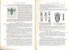 Lehrbuch der medizinischen Entomologie.. Martini, E.