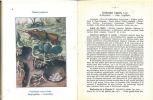 Les insectes et leurs dégats.. Donge, E. & P. Estiot