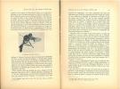 Mémoires de la Société Royale d'Entomologie. Tome 27. Volume jubilaire.. Mémoires de la Société Royale d'Entomologie,