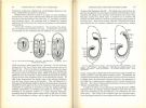 Embryology of insects and myriapods. The developmental history of insects, centipedes, and millipedes from egg desposition to hatching.. Johannsen, ...
