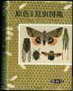 Coloured illustrations of the insects of Japan. Orthoptera, Odonata, Hemiptera, Neuroptera, Lepidoptera, Hymenoptera & Diptera.. Takeuchi, Kichizo