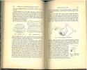 Bulletin de la Société Entomologique de France. Année 1900.. Bulletin de la Société Entomologique de France,