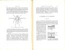 Introduction à l'étude morphologique de l'aile des insectes.. Seguy, Eugène