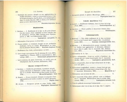 Annales de la Société Entomologique de France, vol. LXX.. Annales de la Société Entomologique de France