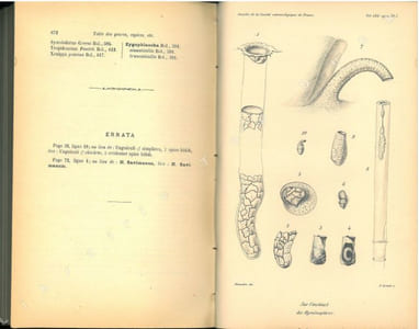 Annales de la Société Entomologique de France, vol. LXX.