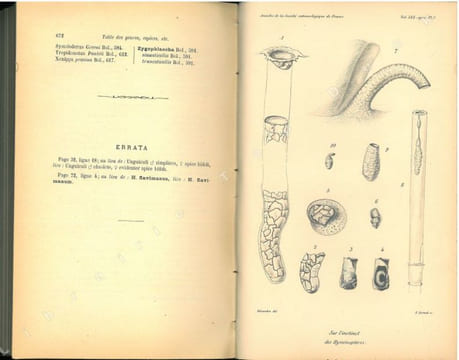 Annales de la Société Entomologique de France, vol. LXX.. Annales de la Société Entomologique de France