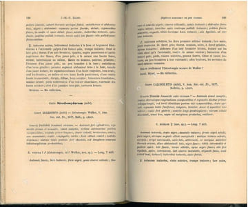 Annales de la Société Entomologique de France + bulletin + bulletin bibliographique. 5° série. Tome 9°.