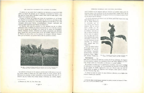 Les insectes nuisibles aux plantes cultivées, leurs moeurs, leur destruction. 2 volumes.. Balachowsky, A.S. & L. Mesnil