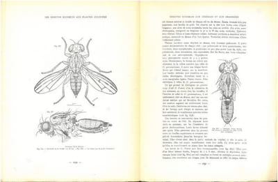 Les insectes nuisibles aux plantes cultivées, leurs moeurs, leur destruction. 2 volumes.