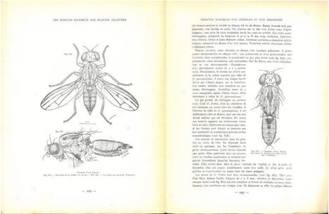 Les insectes nuisibles aux plantes cultivées, leurs moeurs, leur destruction. 2 volumes.. Balachowsky, A.S. & L. Mesnil