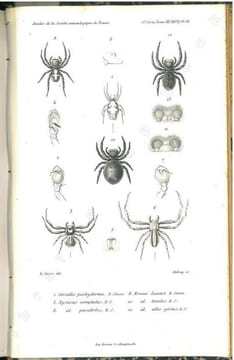 Annales de la Société Entomologique de France + bulletin. 5° série. Tome 3.. Annales de la Société Entomologique de France