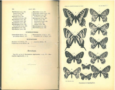 Annales de la Société Entomologique de France. Vol. LXIX.. Annales de la Société Entomologique de France