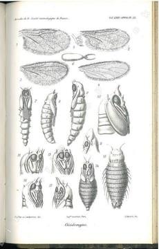 Annales de la Société Entomologique de France. Vol. LXIX.. Annales de la Société Entomologique de France