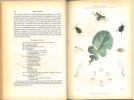 Farm insects. Being the natural history and economy of the insects injurious to the field crops of Great Britain and Ireland, and also those which ...