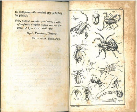 Notice des insectes de la France réputés venimeux. Tirée des écrits des naturalistes, des médecins et de l'observation.. Amoreux, Pierre Joseph