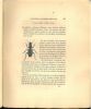 Entomologie analytique. Histoire générale, classification naturelle méthodique des insectes à l'aide de tableaux synoptiques. 2 volumes.. Dumeril, ...
