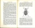 Les insectes utiles. Biologie des insectes auxiliaires, utilisation des insectes par l'homme.. Sellier, Robert