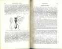 Entomophagous insects.. Clausen, C.P.