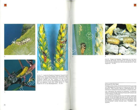 Les auxiliaires, ennemis naturels des ravageurs des cultures.. Bailly, R. et al.