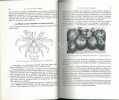 Les insectes des palmiers.. Lepesme, P. et al.
