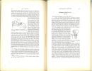 Voyage de Ch. Alluaud et R. Jeannel en Afrique Orientale (1911-1912). Insectes Hyménoptères. II. Formicidae.. Santschi, F.