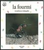 La fourmi, travailleuse infatigable.. Gomel, L. et al.