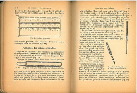 Le métier d'apiculteur.. Belangeon, A.