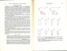 Handbooks for the identification of British insects. Hymenoptera. 2. Chalcoidea.. Ferriere, Ch. & G.J. Kerrich