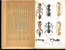 Le monde social des fourmis. Vol. 2.. Forel, Auguste