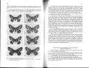 Eucheira socialis westwoodi Beutelspacher, 1894. Contribution à sa biologie et à sa systématique (Lepidoptera, Pieridae).. Diaz, B.M.E. & J. Boudinot
