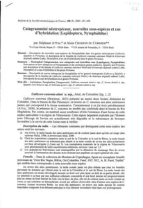 Catagrammini néotropicaux, nouvelles sous-espèces et cas d'hybridation (Lepidoptera, Nymphalidae).