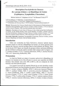 Description d'un hybride de Charaxes du "groupe tiridates" en République de Guinée (Lepidoptera, Nymphalidae, Charaxinae).