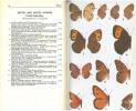 A field guide to the butterflies of north America, east of the great plains.. Klots, Alexander B.