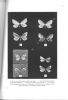 Geometridae de la Argentina (Lep.), I : Los géneros Synneuria Mabille y Sarobeia nov. (Larentiinae).. Orfila, R. & S. Schajovskoy