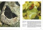 Encyclopédie des papillons, 210 illustrations en couleurs.. Stanek, V.J.
